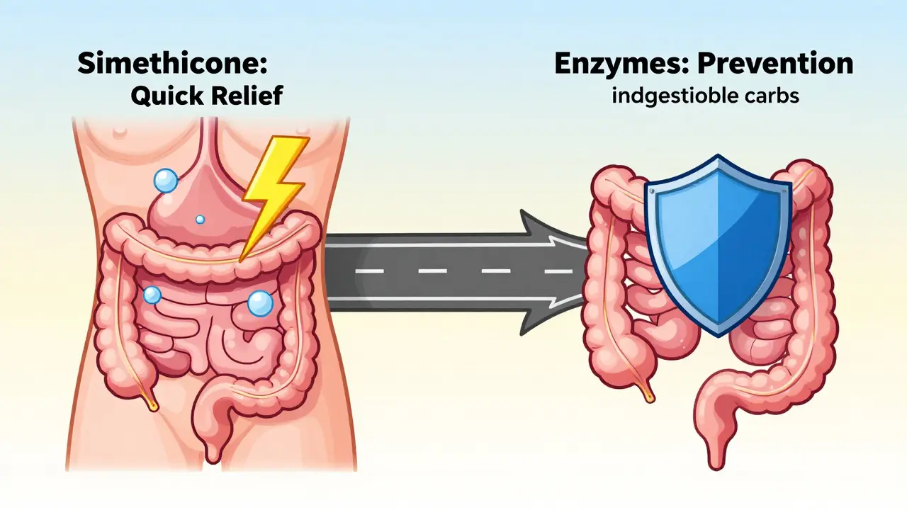 A stylized human body with two paths: one for fast gas relief and one for prevention of gas formation.